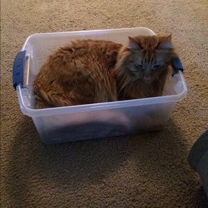 Meet your Posher, Michele